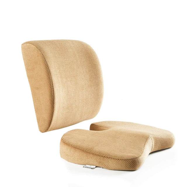 Chair back support cushion
