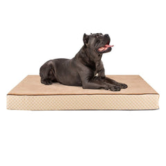 Collection image for: All Models Ortho Large Pet Beds